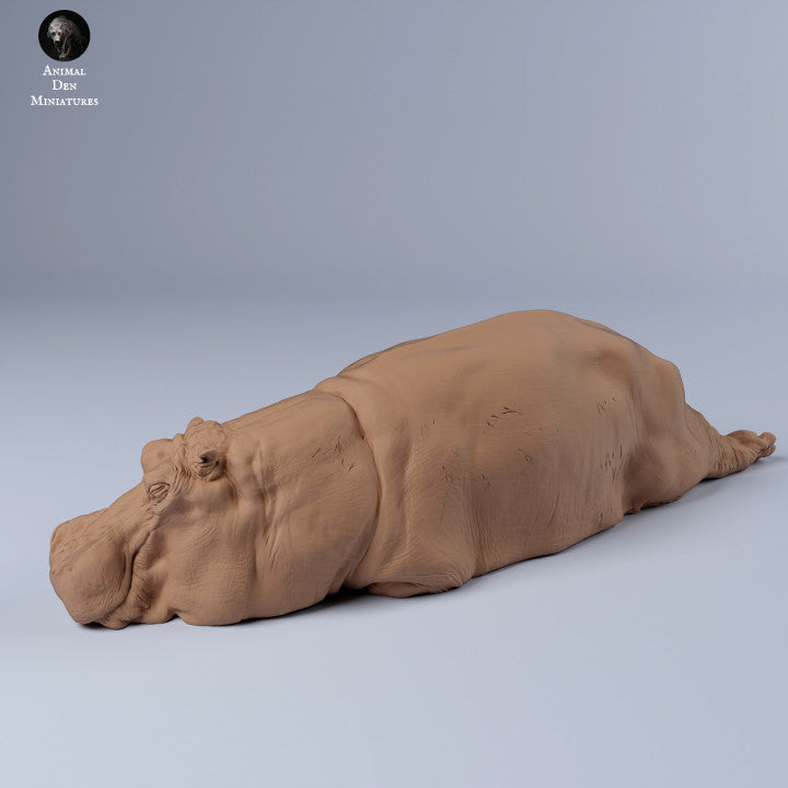 Product photo Animal Figure Diorama, Model Building: 0: Hippo sleeping: Animals from Africa