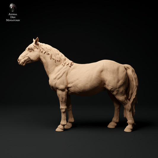 Product photo Animal Figure Diorama, Model Building: 0: Konik/ Small Wild Horse: Animals from Europe