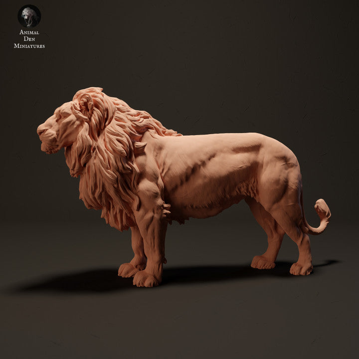 Product photo Animal Figure Diorama, Model Building: 0: Lion: Animals from Africa