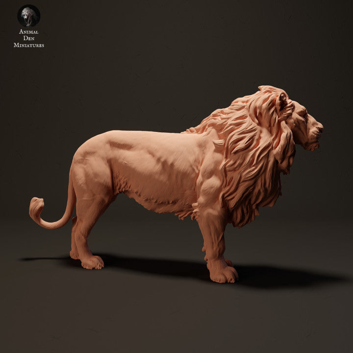 Product photo Animal Figure Diorama, Model Building: 0: Lion: Animals from Africa