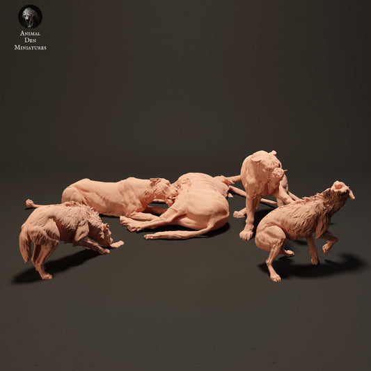 Product photo Animal Figure Diorama, Model Building: 0: Lions on Antelope Carcass besieged by Hyenas: Animals from Africa