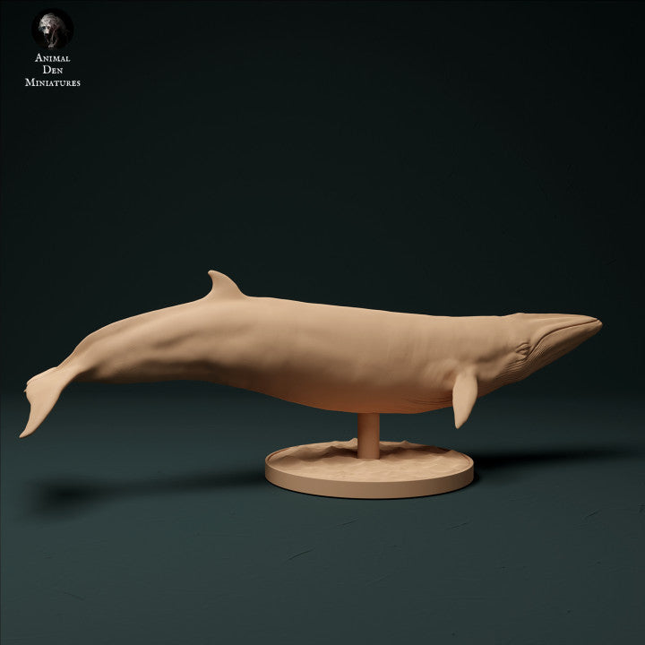 Produktfoto Tier Figur Diorama, Modellbau: 0: Zwergwal: Tiere aus dem Meer
