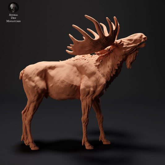 Product photo Animal Figure Diorama, Model Building: 0: Mighty Moose Roaring: Animals of the North