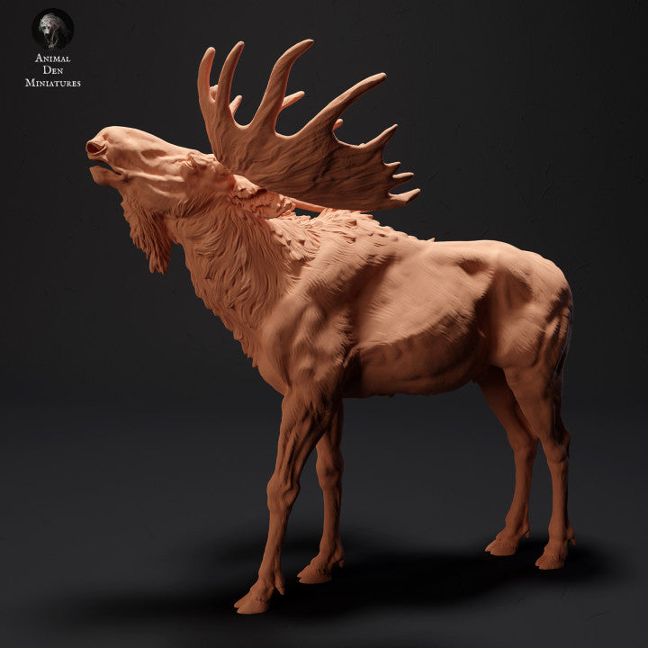 Product photo Animal Figure Diorama, Model Building: 0: Mighty Moose Roaring: Animals of the North