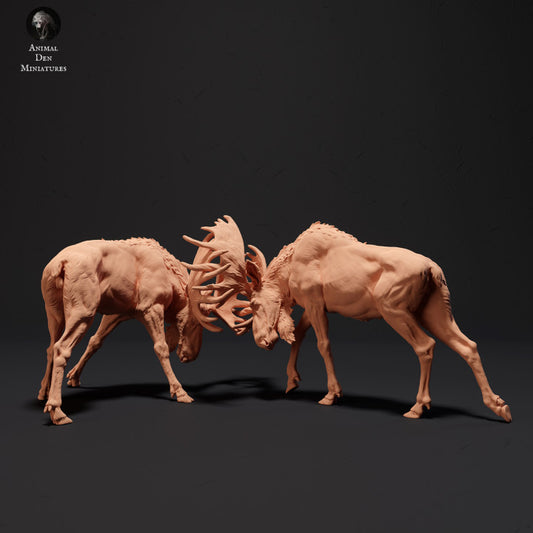 Product photo Animal Figure Diorama, Model Building: 0: Mighty Moose Fighting: Animals of the North