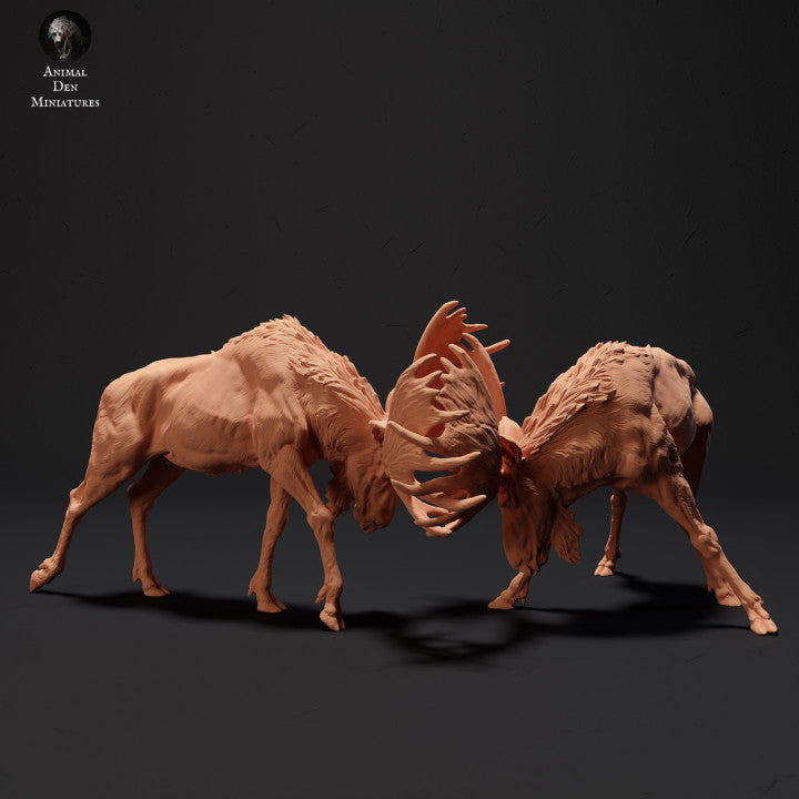 Product photo Animal Figure Diorama, Model Building: 0: Mighty Moose Fighting: Animals of the North