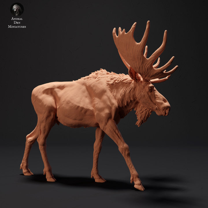 Product photo Animal Figure Diorama, Model Building: 0: Mighty Moose: Animals of the North