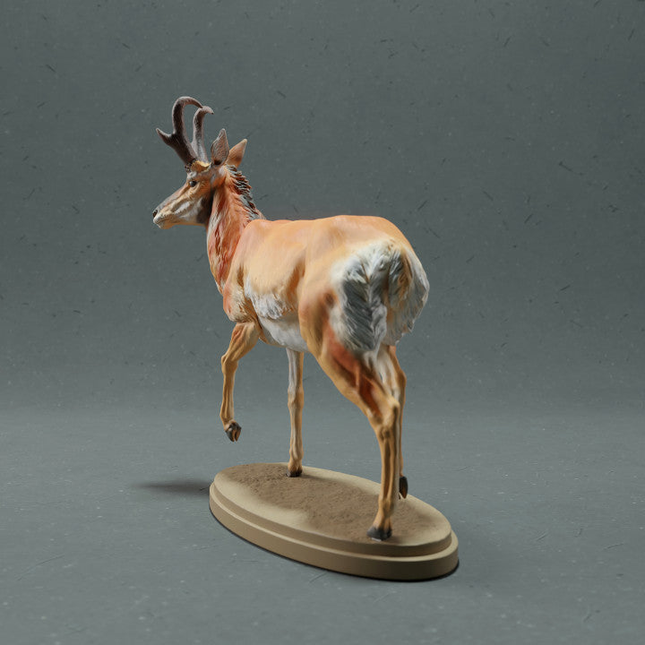 Product photo animal figure Animal Den Miniatures 3: Wildlife animal figure: Pronghorn - Male (22_10_09)