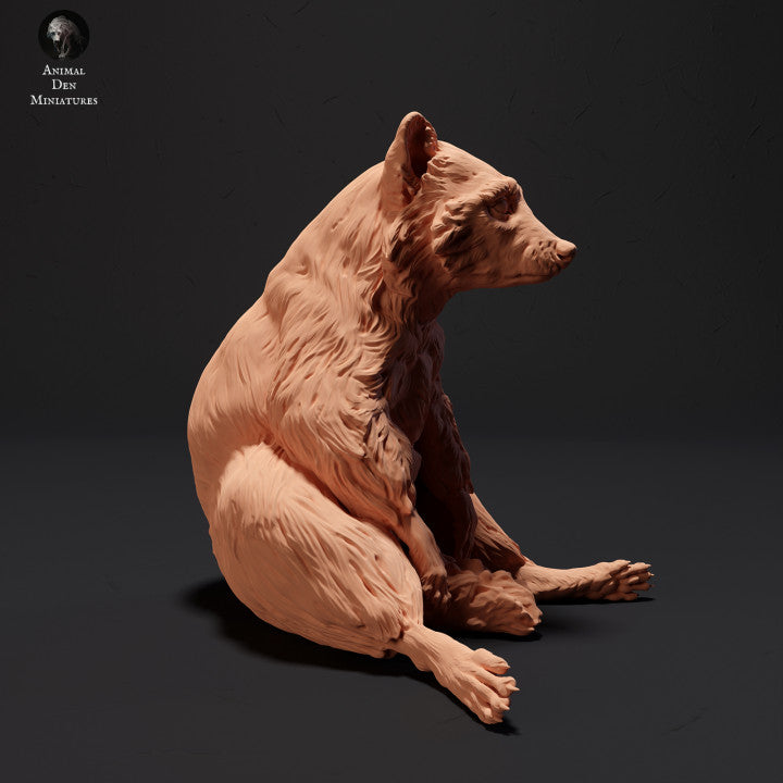 Product photo Animal Figure Diorama, Model Building: 0: Sitting Raccoon: Animals of the North