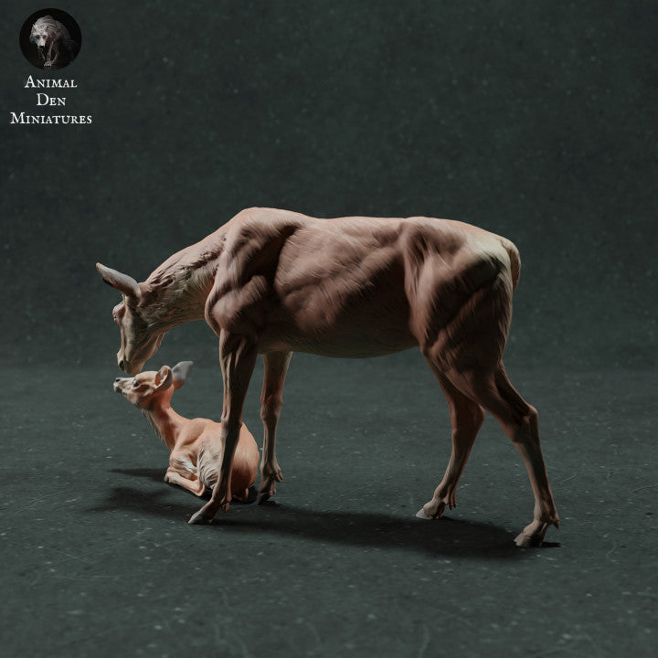 Product photo animal figure Animal Den Miniatures 2: Wild animal figure: Red deer doe with calf (22_11_10)