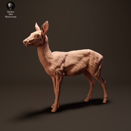 Product photo animal figure diorama, model building: 0: European deer: Animals from Europe