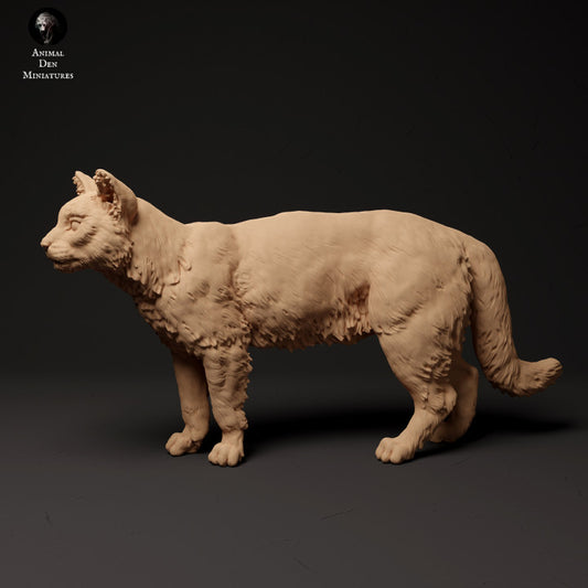 Product photo Animal Figure Diorama, Model Building: 0: Scottish Wildcat: Animals from Northern Europe