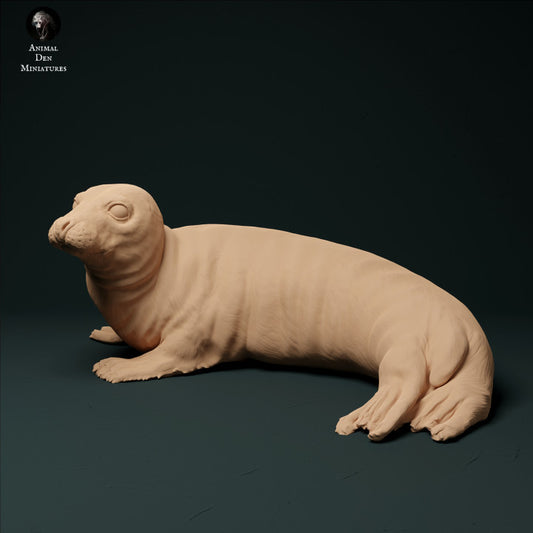 Product photo animal figure diorama, model building: 0: Harbor seal: Sea animals