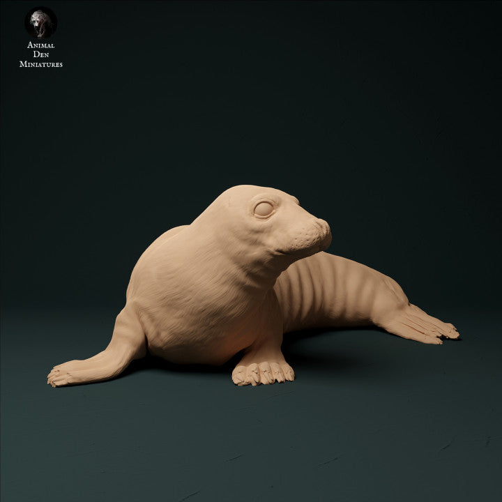 Produktfoto Tier Figur Diorama, Modellbau: 0: Kegelrobbe: Tiere aus dem Meer