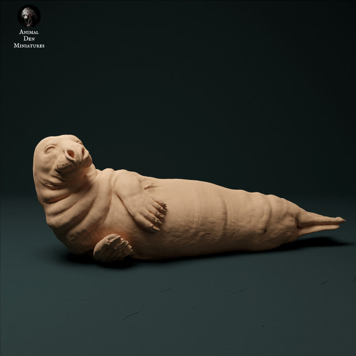 Produktfoto Tier Figur Diorama, Modellbau: 0: Kegelrobbe Männchen: Tiere aus dem Meer