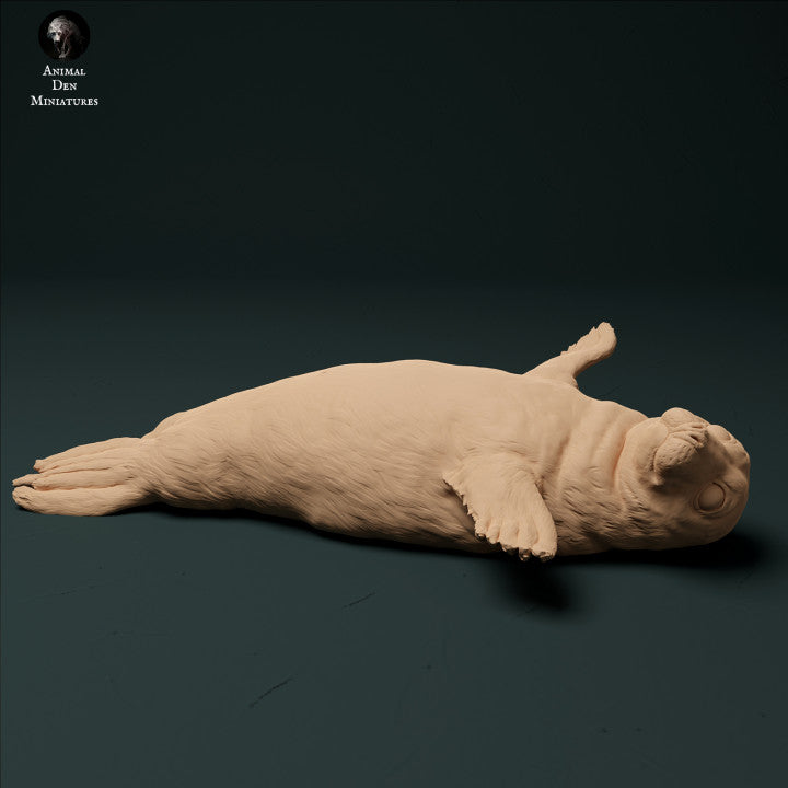 Product photo animal figure diorama, model building: 0: harbor seal pup: sea animals