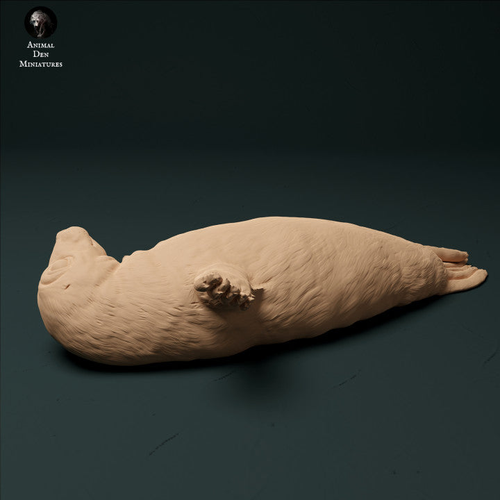 Product photo animal figure diorama, model building: 0: harbor seal pup: sea animals