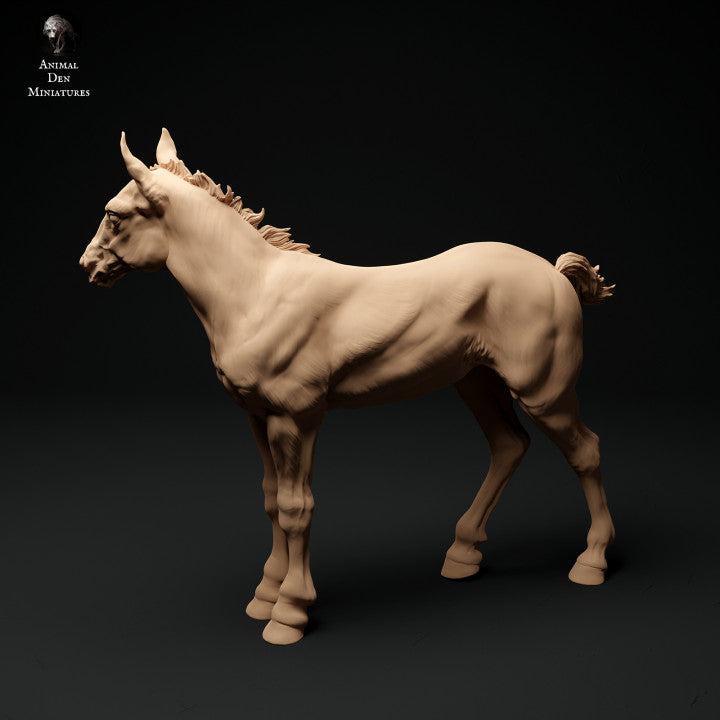 Product photo animal figure diorama, model building: 0: Farm animal figure: 2 foals - standing and walking horse