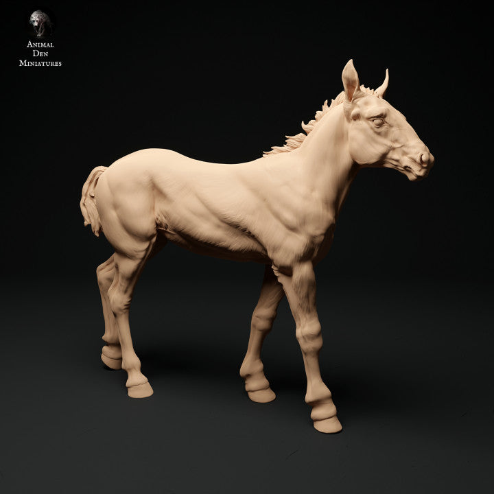Product photo animal figure diorama, model building: 0: Farm animal figure: 2 foals - standing and walking horse