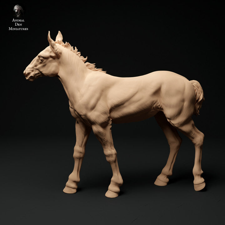 Product photo animal figure diorama, model building: 0: Farm animal figure: 2 foals - standing and walking horse
