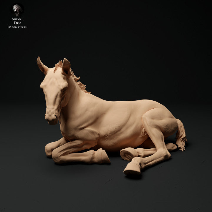Product photo Animal Figure Diorama, Model Building: 0: Farm Animal Figure: 2 Foals - running and lying horse