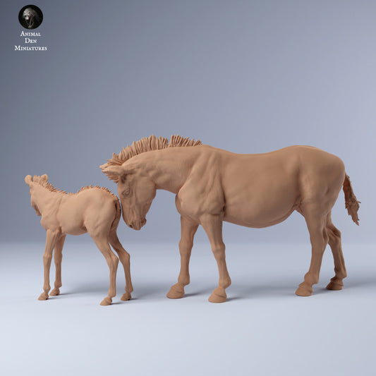 Product photo Animal Figure Diorama, Model Building: 0: Zebra Mother and Young: Animals from Africa