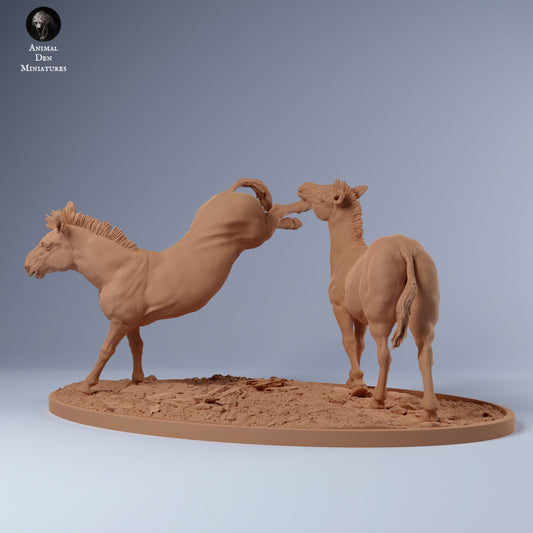 Product photo Animal Figure Diorama, Model Building: 0: Zebra Male Territorial Fight: Animals from Africa