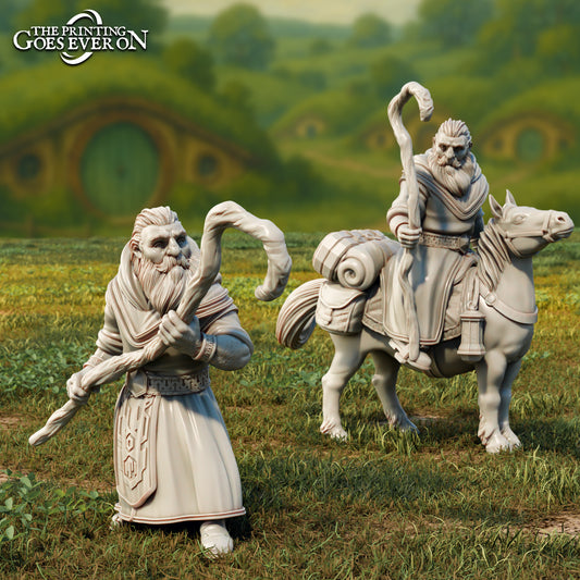 Product photo Tabletop 28mm The Printing Goes Ever On (TPGEO) 0: Baldor - Dwarf Companion on Foot and on Pony