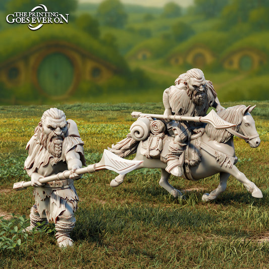 Product photo Tabletop 28mm The Printing Goes Ever On (TPGEO) 0: Brigor - Dwarf Companion on Foot and on Pony
