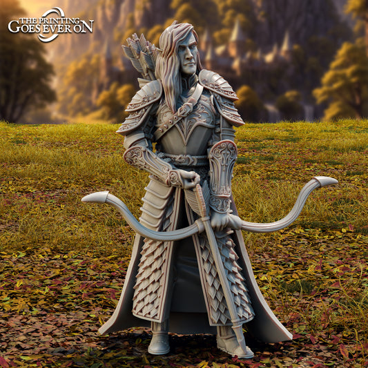 Product photo Tabletop 28mm The Printing Goes Ever On (TPGEO) 0: Elf Heroes - Haller - Brave Leader of the Elven People