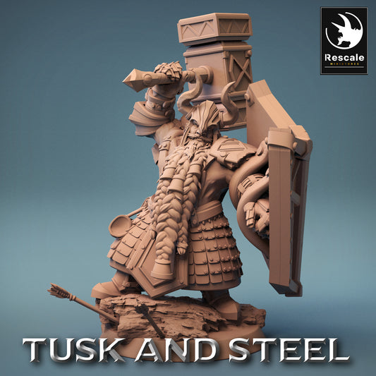 Dwarf Warrior - Brave Soldier - Miner Under the Mountain (F8)