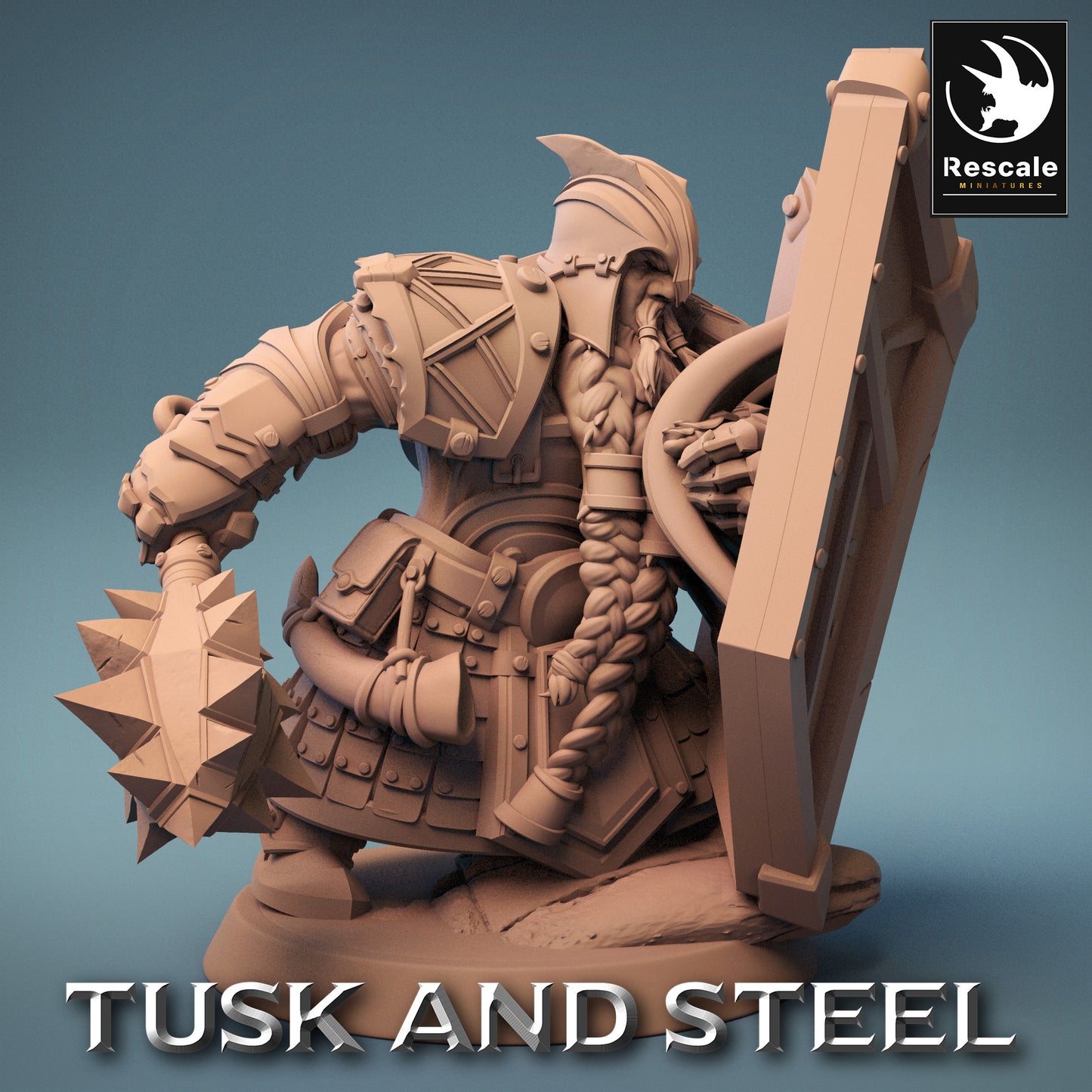 Dwarf Warrior - Brave Soldier - Miner Under the Mountain (F3)