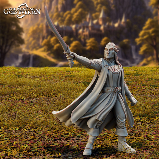 Product photo Tabletop 28mm The Printing Goes Ever On (TPGEO) 0: Elf Hero Gaelon Isilion - Brave Leader of the Elven People