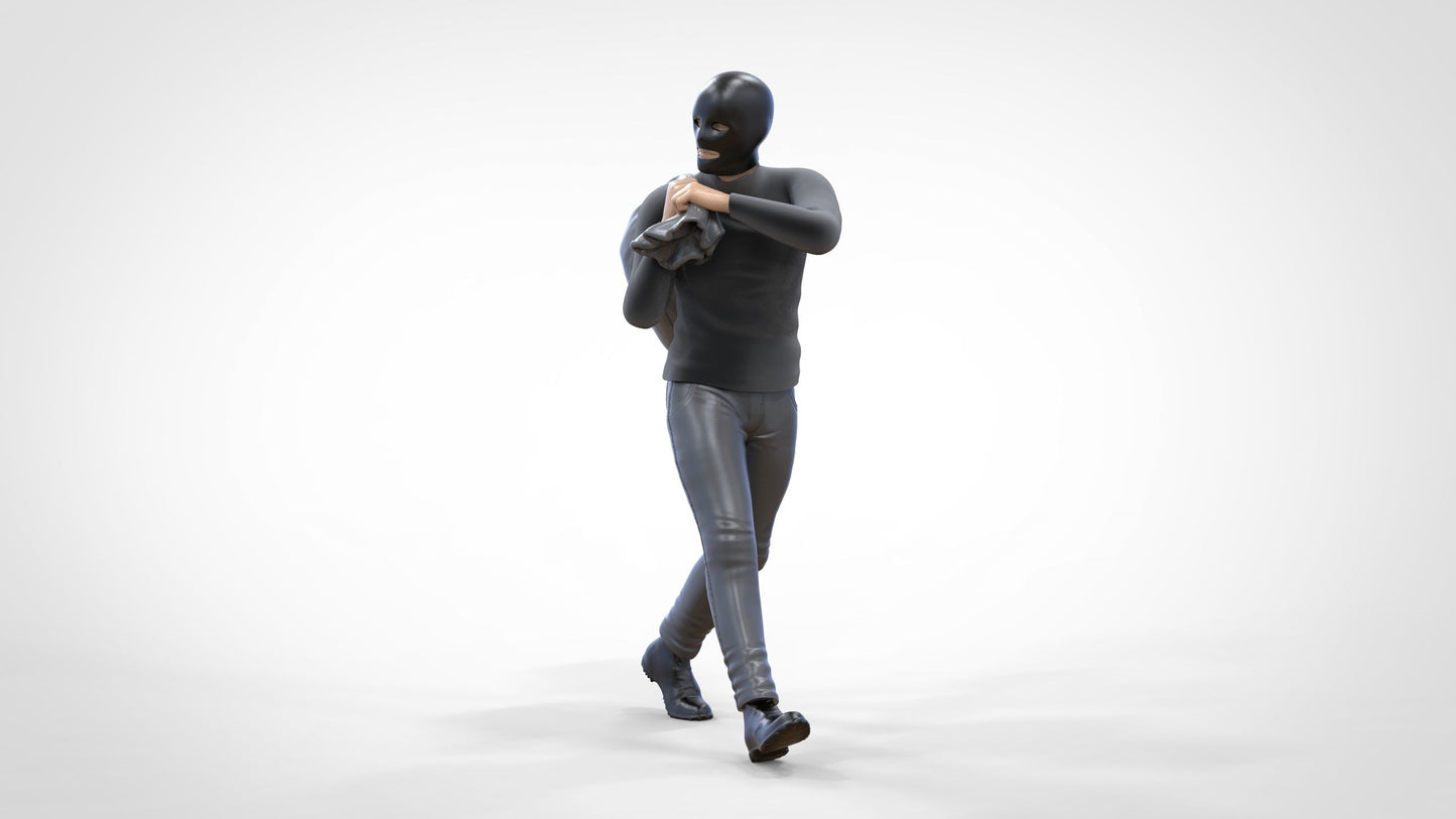 Product photo 0: Fleeting Thief after Burglary