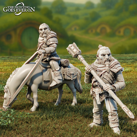 Product photo Tabletop 28mm The Printing Goes Ever On (TPGEO) 0: Naldur - Dwarf Companion on Foot and on Pony