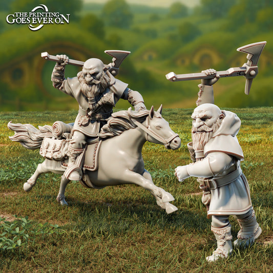 Product photo Tabletop 28mm The Printing Goes Ever On (TPGEO) 0: Odrin - Dwarf Companion on Foot and on Pony