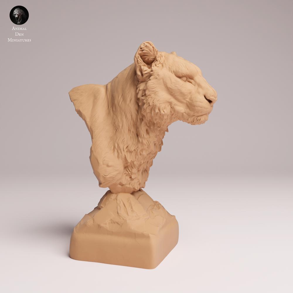 Product photo animal figure Animal Den Miniatures 2: Wildlife animal figure: Amur leopard - Bust (25_07_20)