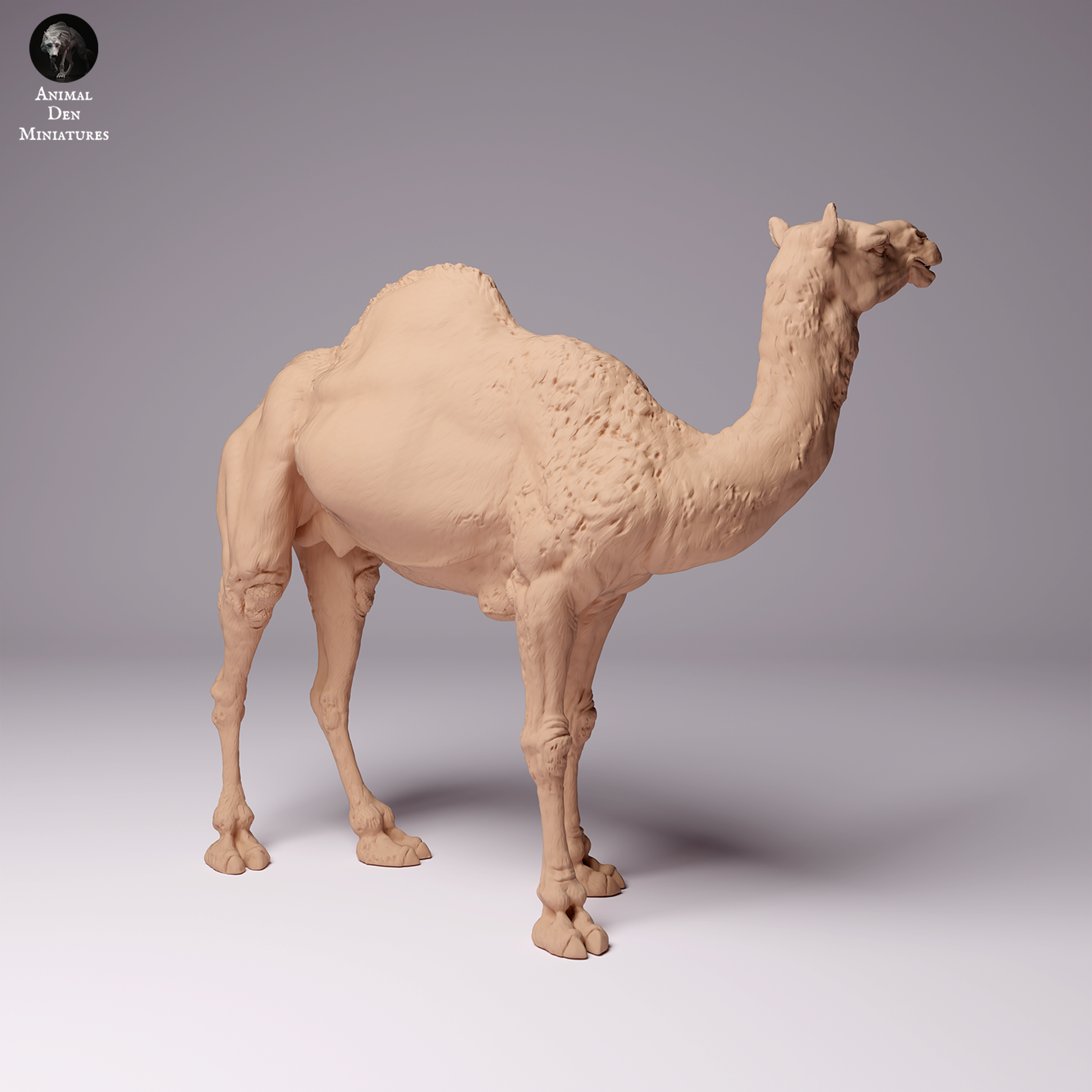 Product photo Animal Figure Diorama, Model Building: 0: Dromedary / Camel - Male Desert Camel: Animals from Africa