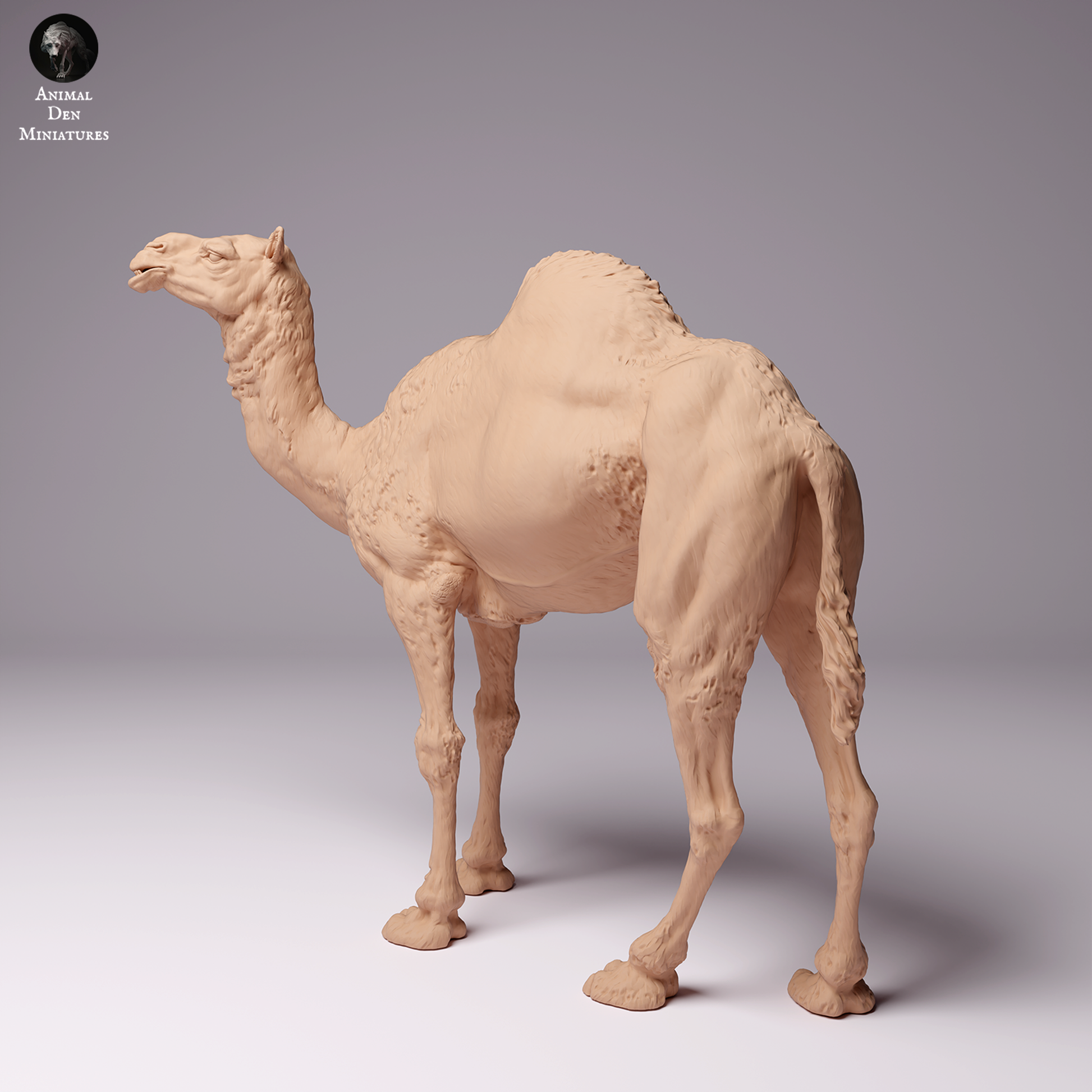 Product photo Animal Figure Diorama, Model Building: 0: Dromedary / Camel - Male Desert Camel: Animals from Africa