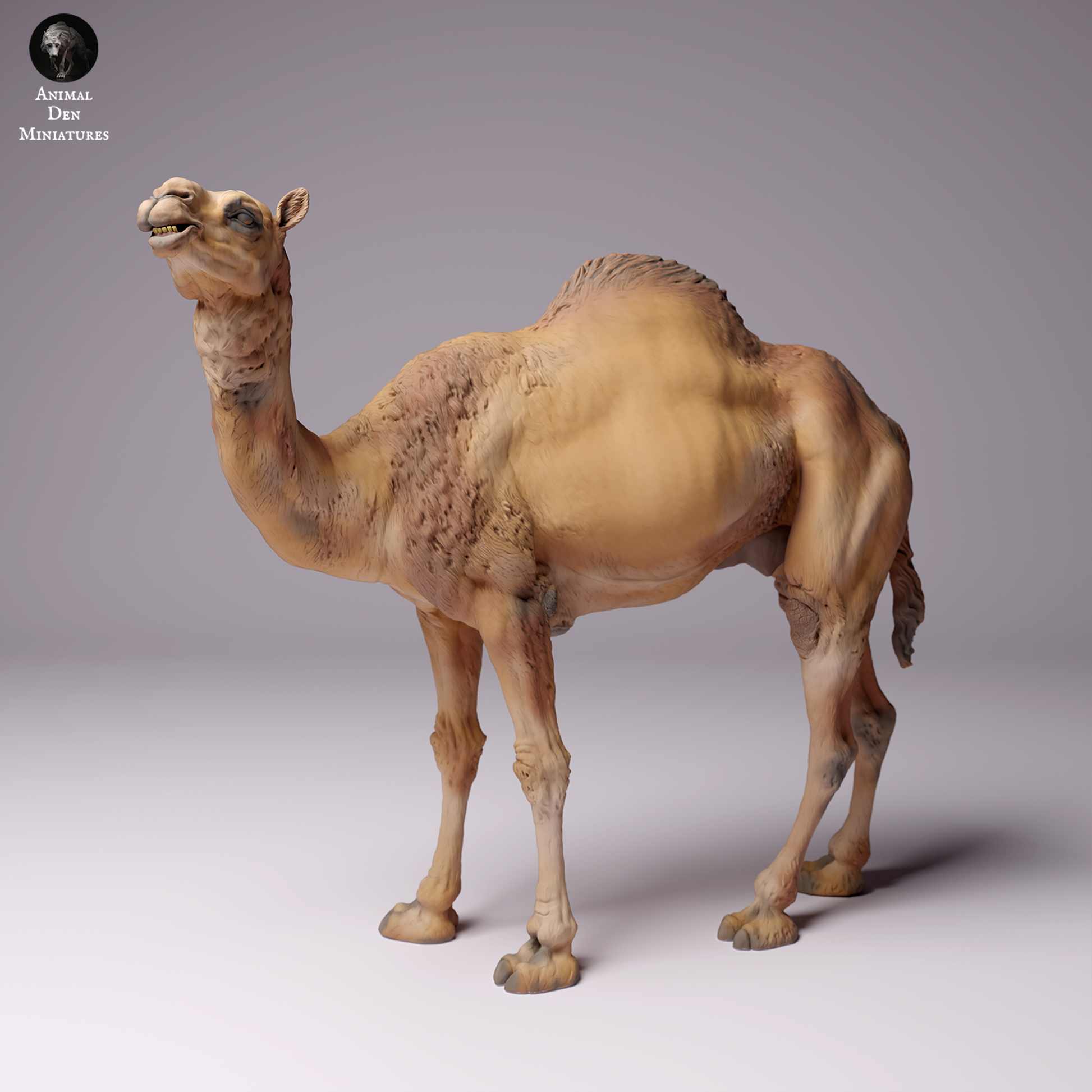 Product photo Animal Figure Diorama, Model Building: 0: Dromedary / Camel - Male Desert Camel: Animals from Africa