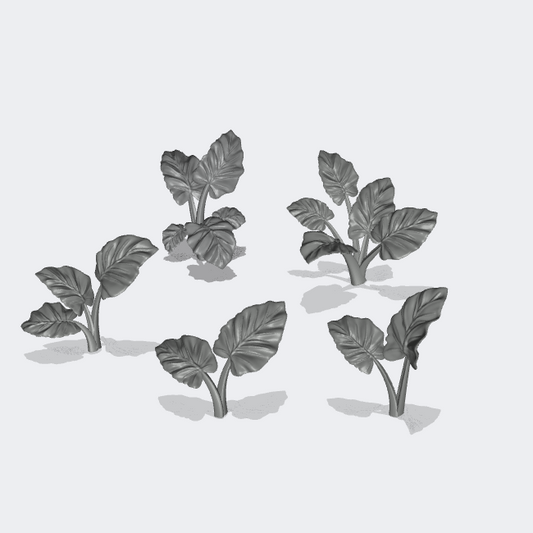 Product photo miniature furniture, diorama and model building 0: Plants and greenery: 5 elephant ear plants - Alocasia Odora