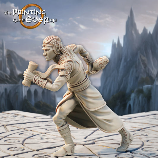 Product photo Tabletop 28mm The Printing Goes Ever On (TPGEO) 0: Elven Healer - 2 Healers of the Elven Folk - Elven Scholars