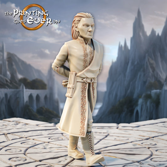 Product photo Tabletop 28mm The Printing Goes Ever On (TPGEO) 0: Elf Loremaster - 2 Sages of the Elf Folk - Elf Scholars