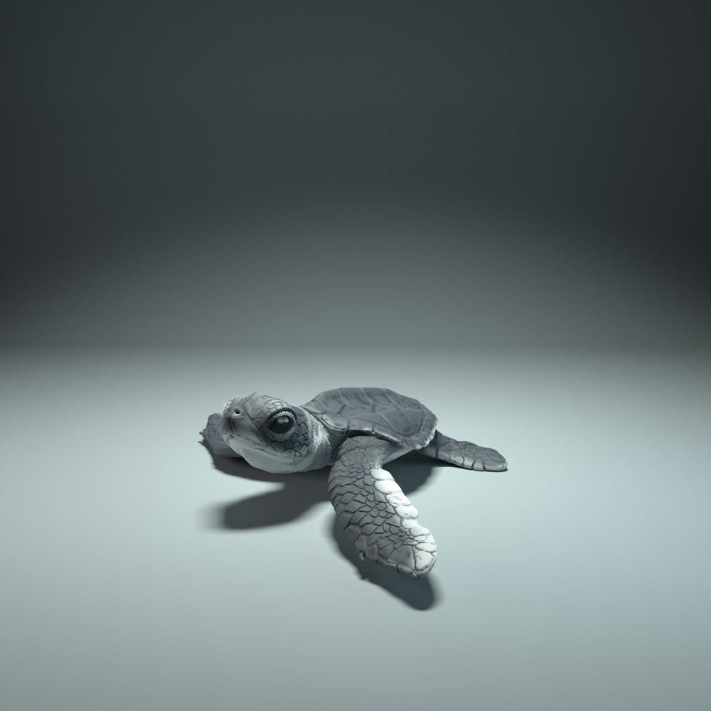 Product photo animal figure Animal Den Miniatures 3: Sea animal figure: baby sea turtle hatching (21_12_01)