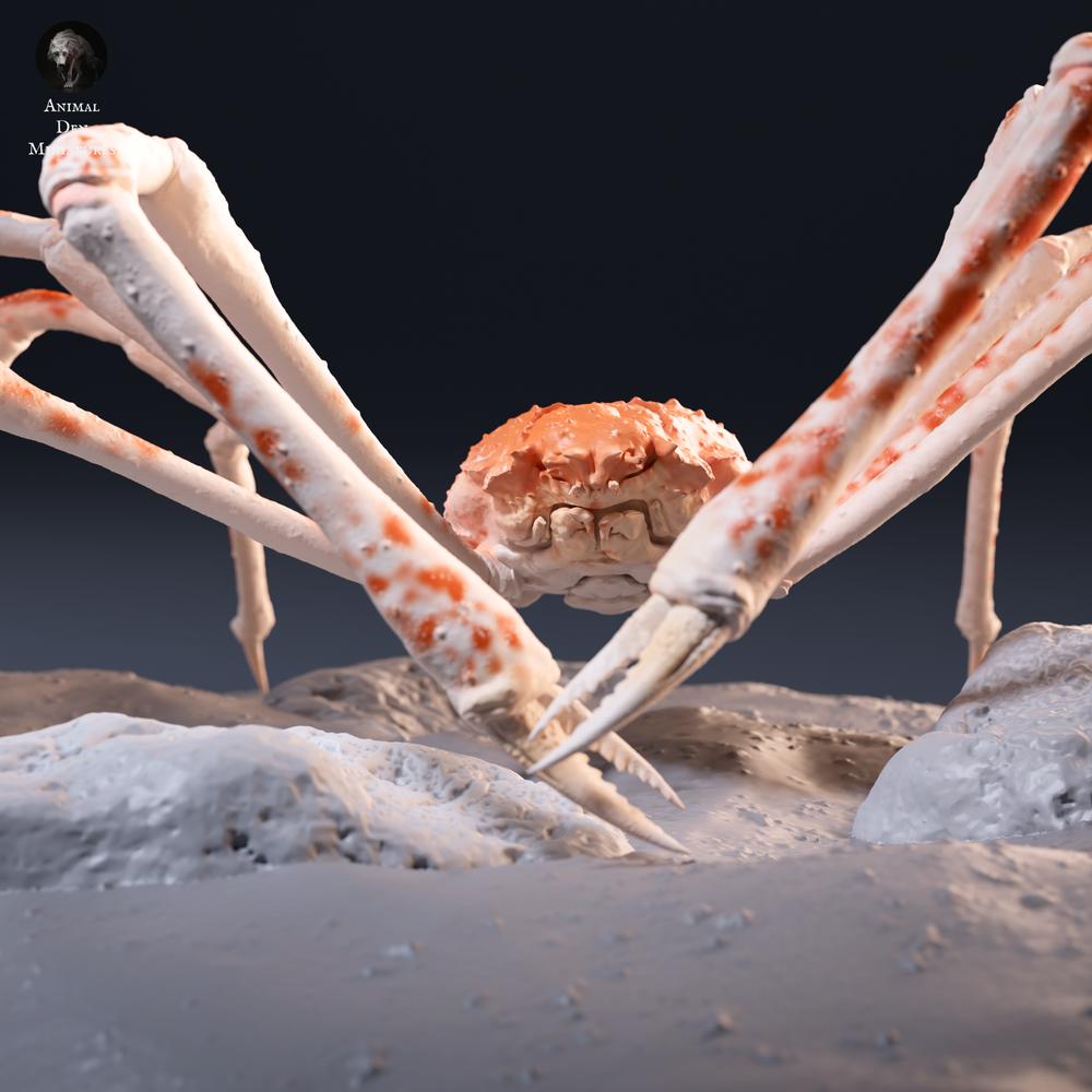 Product photo, animal figure Animal Den Miniatures 7: sea creature figure: Japanese giant crab (26_09_05)