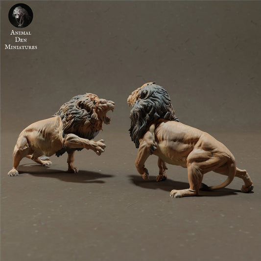 Product photo Animal Figure Diorama, Model Building: 0: Fighting Lions - Savanna Animals