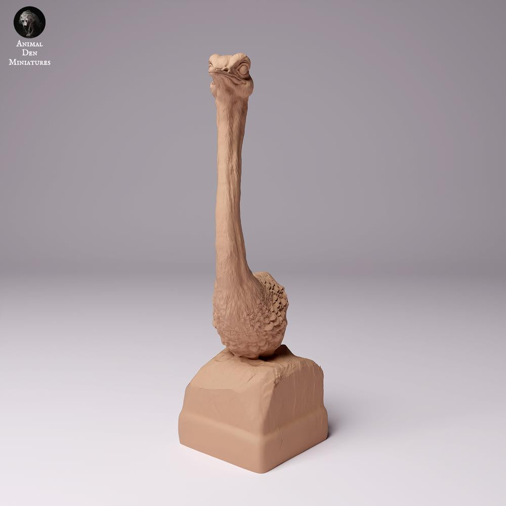 Product photo animal figure Animal Den Miniatures 2: Wild animal figure: North African ostrich - bust (24_07_10)
