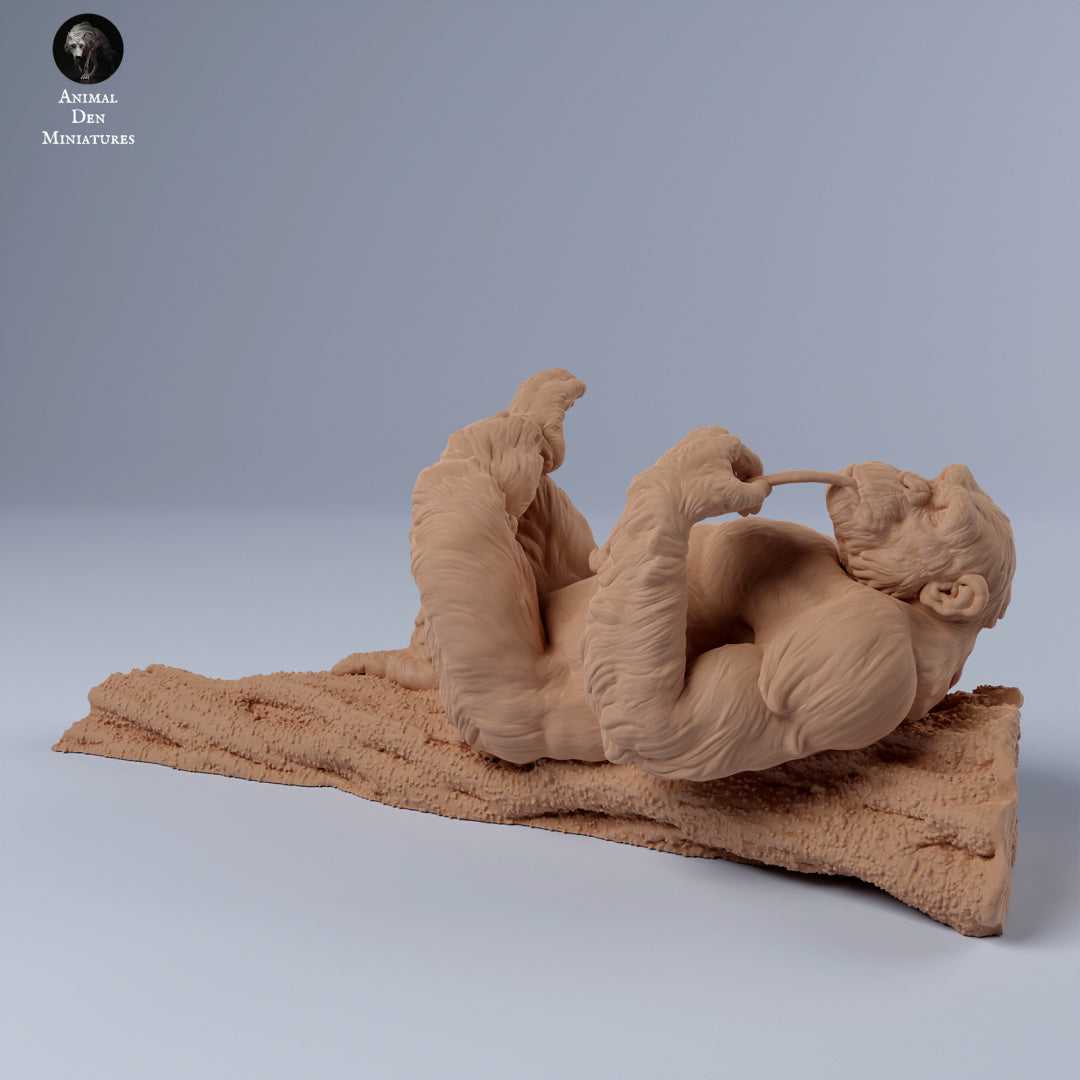 Product photo Animal Figure Diorama, Model Building: 0: Male Chimpanzee Lying on Branch: Animals from Africa