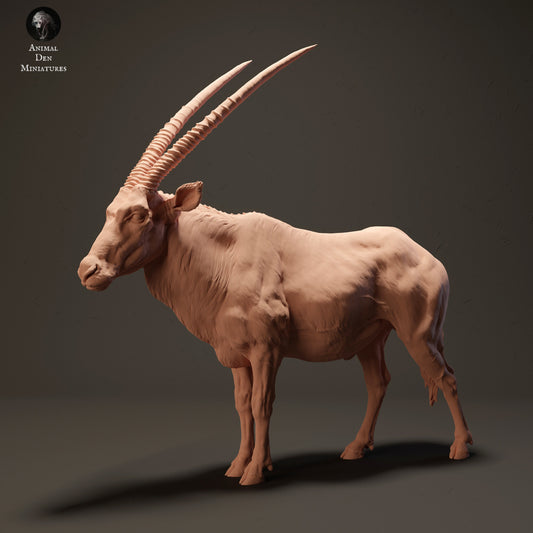Product photo Animal Figure Diorama, Model Building: 0: Gemsbok Antelope: Animals from Africa