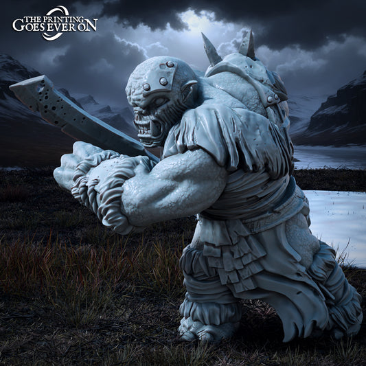Product photo Tabletop 28mm The Printing Goes Ever On (TPGEO) 0: Troll Squad - Large Beasts - Evil Creatures of the Northern Realms